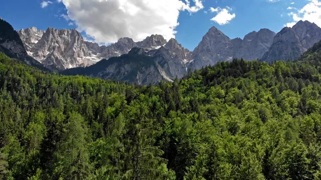 Aerial shot of Julian Alps. Pine trees and blue cloudy skies in Triglav National Park, Slovenia. 4K, UHD