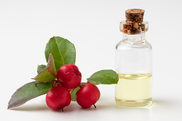 A bottle of wintergreen essential oil with wintergreen twigs on a white background