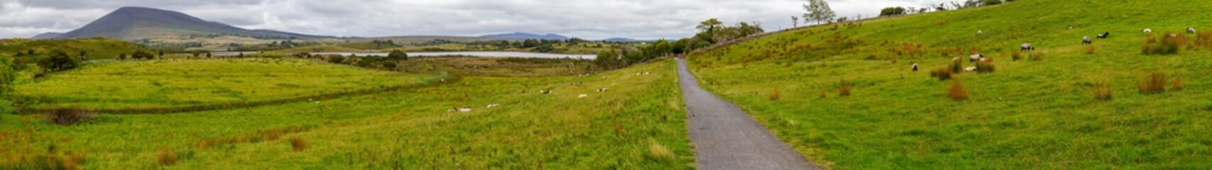 Fototapeta na wymiar Panorama with sheep herd in a farm, lake and mountains in background, Great Western Greenway trail