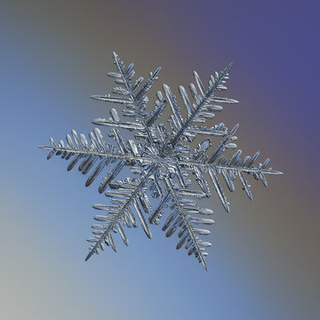 Snowflake glittering on gradient background. Macro photo of real snow crystal: elegant stellar dendrite with complex structure, glossy relief surface, ornate shape and intricate inner details.