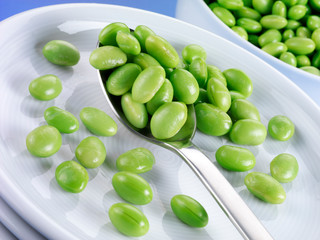 FRESH VEGETABLE SOYA BEANS