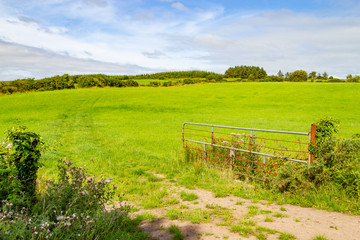 Farm field in Greenway route from Castlebar to Westport