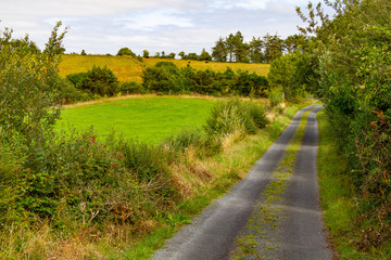 Fototapeta na wymiar Farm and road in Greenway route from Castlebar to Westport