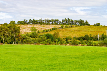 Fototapeta na wymiar Farm field in Greenway route from Castlebar to Westport