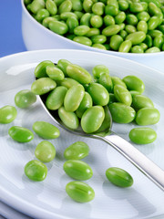 FRESH VEGETABLE SOYA BEANS