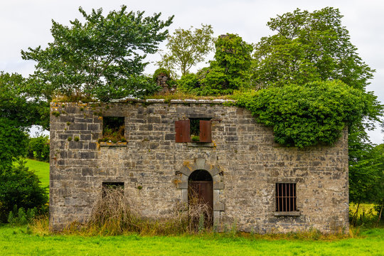 Ruins of an stone irish house taken by vegetation