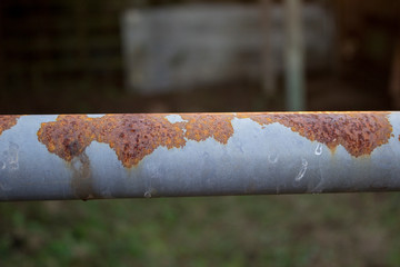 Rusty gate