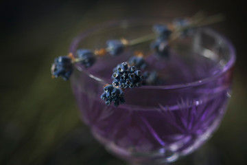 Lavender cocktail on a dark background.