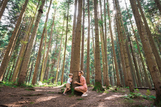 Happy young mother with her cute little son hugging a tree in the forest