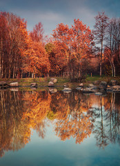 Forest park pond in autumn