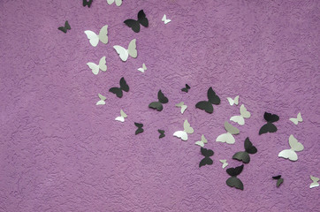 Colorful butterflies on the purple wall texture with space for text, can be used for background