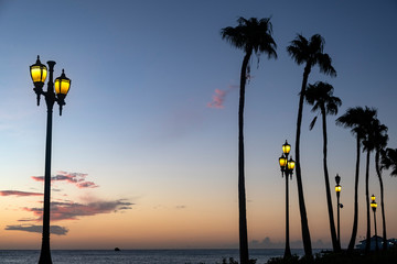 Silhouette of Tall Palm Trees and Street Lamps on a Caribbean Beach at Dusk
