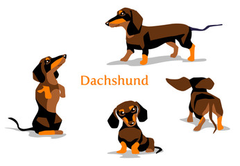 dachshund vector illustration, clip art, cartoon dog wiener-dog, sausage dog, braun black drawing