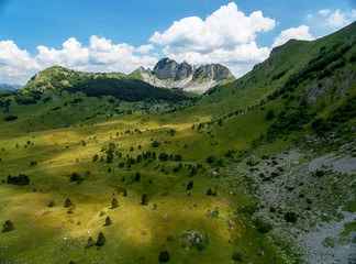 Drone image of mountain peak mountain with trees and plants