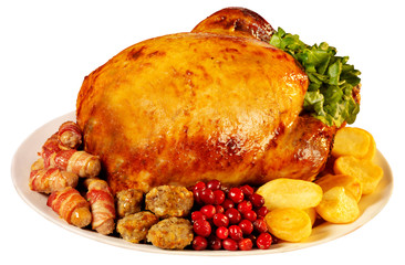 CHRISTMAS TURKEY CUT OUT