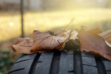 closeup view on tread of high performance car tire with autumn leaves in bright sunny light- car...