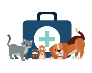 veterinary clinic petcare