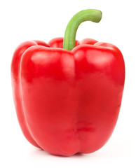Pepper Isolated on white