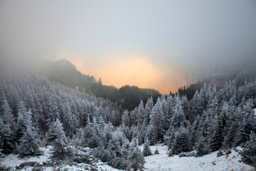 Trees covered with hoarfrost and snow in winter mountains - Christmas snowy backgroundic holiday background