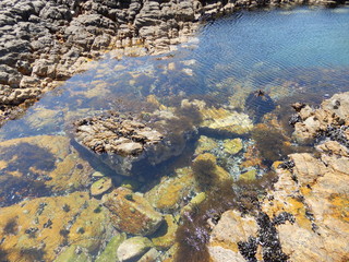 sea