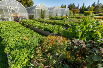 View of greenhouse