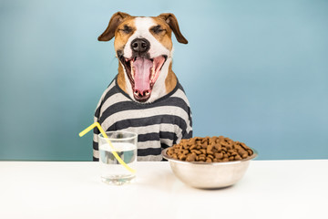 Funny dog in pajamas yawning at breakfast table. Illustrative concept of sleepy puppy front of bowl of pet food at minimalistic white and blue background