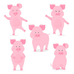 A set of cute piggy characters in different poses, sitting, standing, walking, hand up and down. Funny pig. The symbol of the Chinese New Year