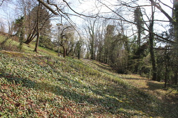 VILLAGE DE FEYZIN - RHONE