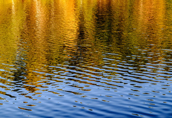 Golden Foliage Reflection