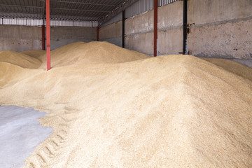Pile of heaps of wheat grains and sacks at mill storage or grain elevator.