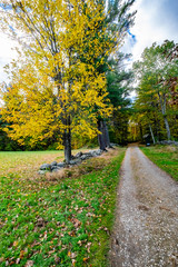 Obraz premium Dirt Road to Monson