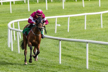 Horse and jockey galloping on the track