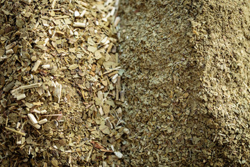 Yerba mate (Ilex paraguariensis) comparison, close-up top view