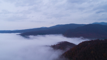 Fototapeta na wymiar Foggy forest and natural cloud landscape photo.Aerial shot.