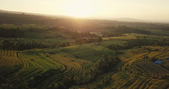 Edited drone footage over Jatiluwih Unesco rice terraces in Bali, Indonesia