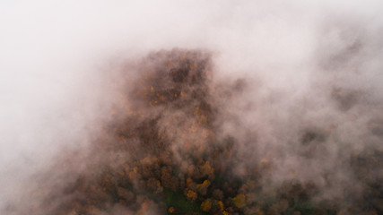 Foggy forest aerial shot. Aerial landscape photo.