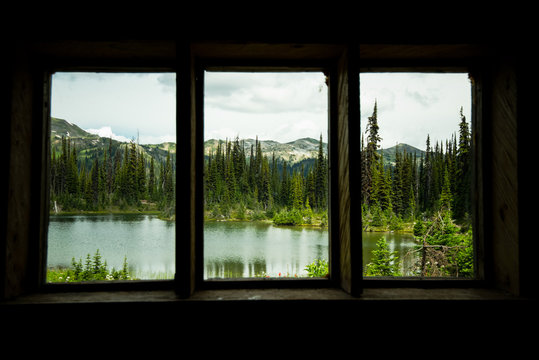 Fototapeta view from the window