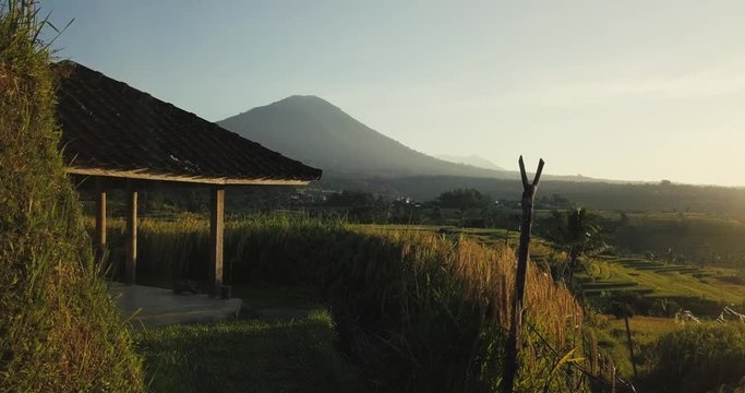 Edited drone footage over Jatiluwih Unesco rice terraces in Bali, Indonesia