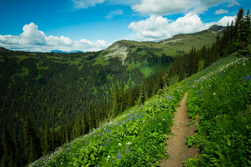 Trail in the mountains