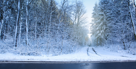 Winter road landscape. Trees covered with hoarfrost and snow.