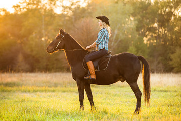 Girl equestrian rider riding a beautiful horse  in the rays of the setting sun.