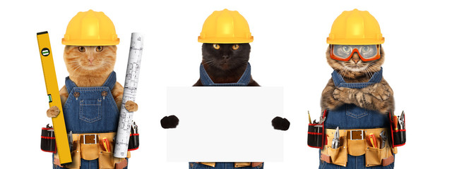Funny cats are wearing a suit of builder and holding a builder's level and project plan. Craftsman...
