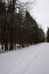 winter landscapes in Canada