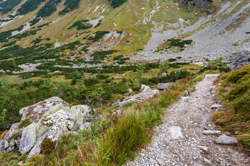 Fototapeta na wymiar hiking trails in Slovakia Tatra mountains near mountain lake of Rohache