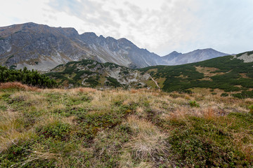 hiking trails in Slovakia Tatra mountains near mountain lake of Rohache