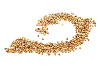 Coriander seeds isolated on white background