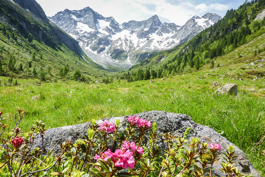 Landschaft in den Alpen in Tirol