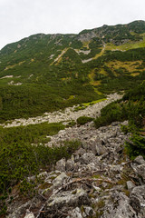 hiking trails in Slovakia Tatra mountains near mountain lake of Rohache