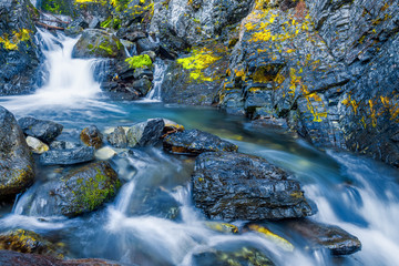 stream in the forest
