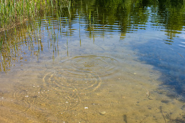 calm summer day view by the lake with clean water